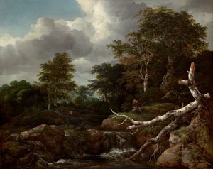 Escena del bosc, c. 1655. finlandès tekijältä Jacob van Ruisdael