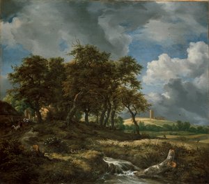 Maisema lähellä Muiderbergiä, 1650-luvun alku tekijältä Jacob van Ruisdael