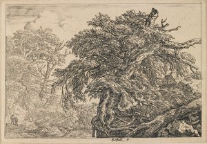  tekijältä Jacob van Ruisdael