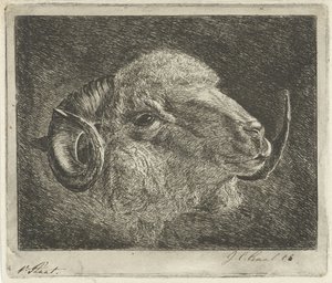 Pänän pää, jonka sarvet on käännetty taaksepäin tekijältä Jacobus Cornelis Gaal (signed by artist)