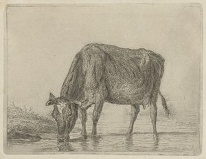 juova lehmä tekijältä Jacobus Cornelis Gaal