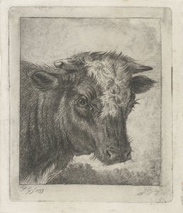 Cap de vaca amb acabat de cul blanc tekijältä Jacobus Cornelis Gaal