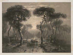 A. Calamen teoksia, nro 13: Sierren metsä Valais