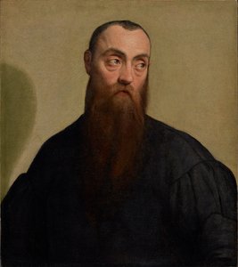 Parrakkaan miehen muotokuva tekijältä Jacopo Bassano
