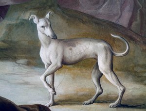 Koira, yksityiskohta Jacopo Guaranan (1720-1808) freskosta, Villa Contarinin keskussali, Valnogaredo, Veneto, Italia
