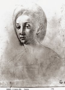 Naisen pää (liitu paperille) tekijältä Jacopo Pontormo