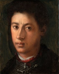 Alessandro de Medicin muotokuva 1510-1537, 1534-1535 tekijältä Jacopo Pontormo