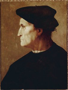 Francesco da Castiglionen profiilimuotokuva tekijältä Jacopo Pontormo