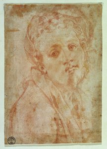 Omakuva (punainen liitu paperille) tekijältä Jacopo Pontormo