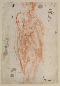 Opiskelu Saint Jeromelle tekijältä Jacopo Pontormo