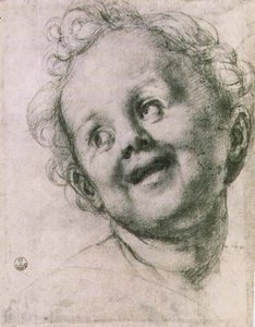 Tutkimus putosta "Pyhälle perheelle pyhien kanssa" (Pucci-alttaritaulu) San Michele Visdominin kirkossa (San Michelino), Firenze, n. 1518 (liitu) tekijältä Jacopo Pontormo