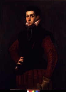 Nuoren miehen muotokuva, n. 1565 (öljy kankaalle) tekijältä Jacopo Robusti Tintoretto