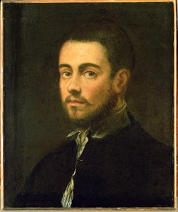 Nuori mies, jolla on parta ... (öljy kankaalle) tekijältä Jacopo Robusti Tintoretto