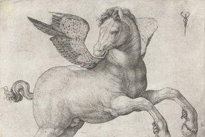 Pegasus, 1509-16 tekijältä Jacopo de Barbari