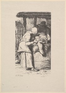 Lammasleikkaus, 1853.