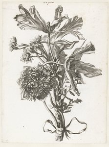 Kukkakimppu, jossa haalistuneet tulppaanit, anemone ja immortelles Diverse Fleurs mises en Boucquets (sarjan nimi) tekijältä Jacques Bailly (I)