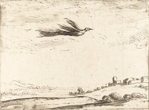 Paratiisin lintu tekijältä Jacques Callot