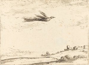 Paratiisin lintu tekijältä Jacques Callot
