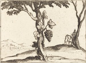 aRypäleterttu tekijältä Jacques Callot