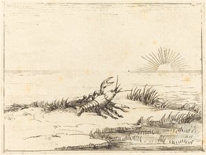 Rapu katselee aurinkoa tekijältä Jacques Callot