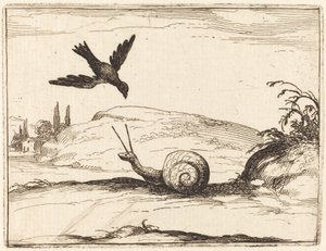 Varis ja Etana tekijältä Jacques Callot