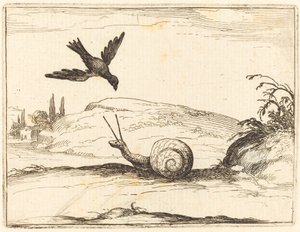 Varis ja Etana tekijältä Jacques Callot