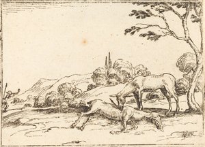 Doe Surua varsaansa. tekijältä Jacques Callot