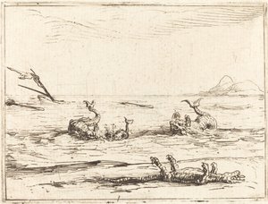 Delfiinit ja krokotiili tekijältä Jacques Callot