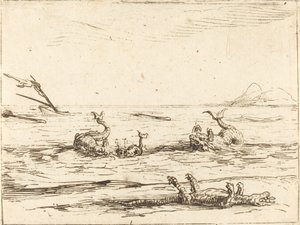 Delfiinit ja krokotiili tekijältä Jacques Callot