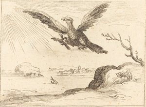 Kotka ja nuori tekijältä Jacques Callot