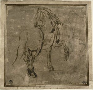 Hevonen, nähtynä kolmen neljäsosan takaa tekijältä Jacques Callot