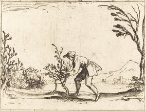 Mies leikkaa balsamipuuta tekijältä Jacques Callot