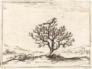 Satakieli pensaassa tekijältä Jacques Callot