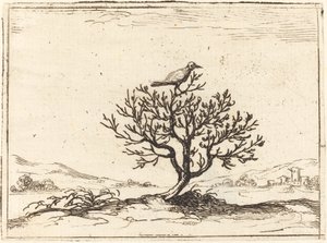 Satakieli pensaassa tekijältä Jacques Callot