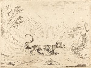 Salamanteri liekkien ympäröimänä tekijältä Jacques Callot