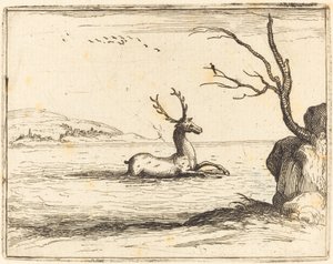 Stag in the Water tekijältä Jacques Callot