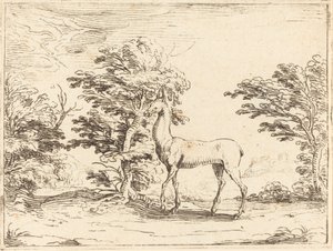 The Doe. tekijältä Jacques Callot
