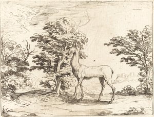 The Doe tekijältä Jacques Callot