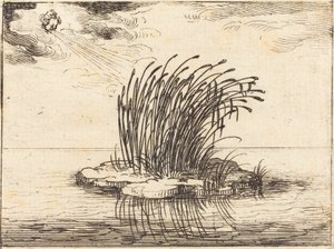 Ruoko ja Tuuli tekijältä Jacques Callot