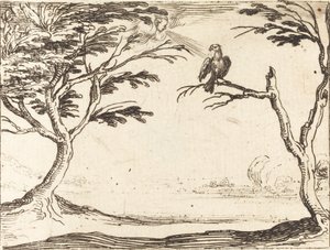 Korppikotka tekijältä Jacques Callot