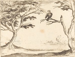 Korppikotka tekijältä Jacques Callot