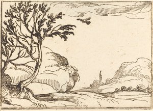 Tortuga volant al desert finlandès tekijältä Jacques Callot