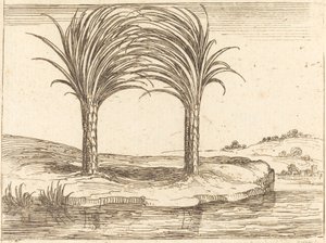 Kaksi palmua tekijältä Jacques Callot