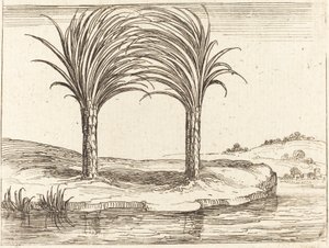 Kaksi palmua tekijältä Jacques Callot