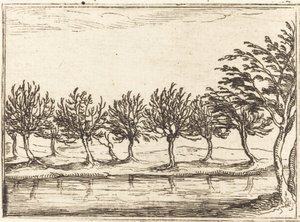 Pajuja veden äärellä tekijältä Jacques Callot