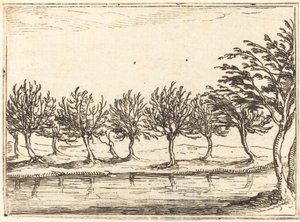 Pajuja veden äärellä tekijältä Jacques Callot