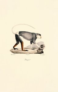  tekijältä Jacques Christophe Werner
