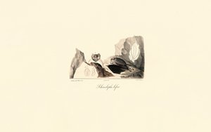  tekijältä Jacques Christophe Werner