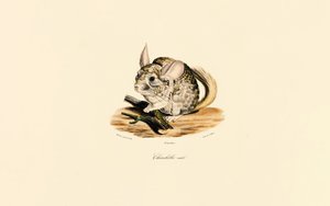  tekijältä Jacques Christophe Werner