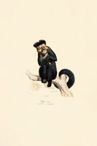  tekijältä Jacques Christophe Werner